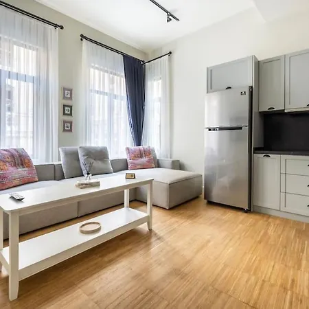Lejlighed Spacious Flat In Galata Istanbul